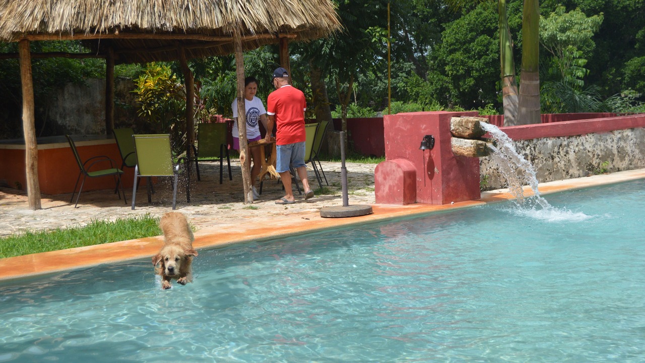 Photo of Outdoor in Yucatan Peninsula