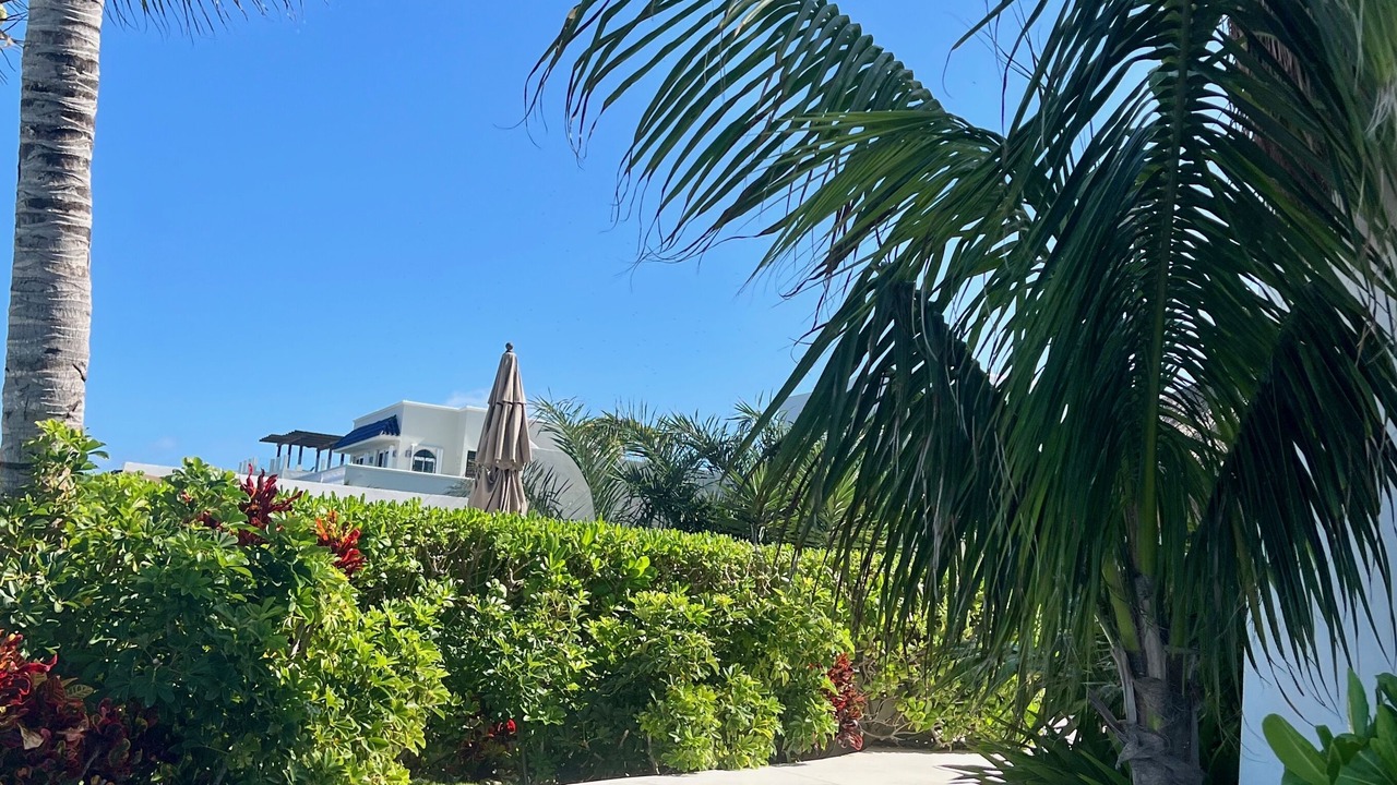 Photo of Outdoor in Isla Mujeres