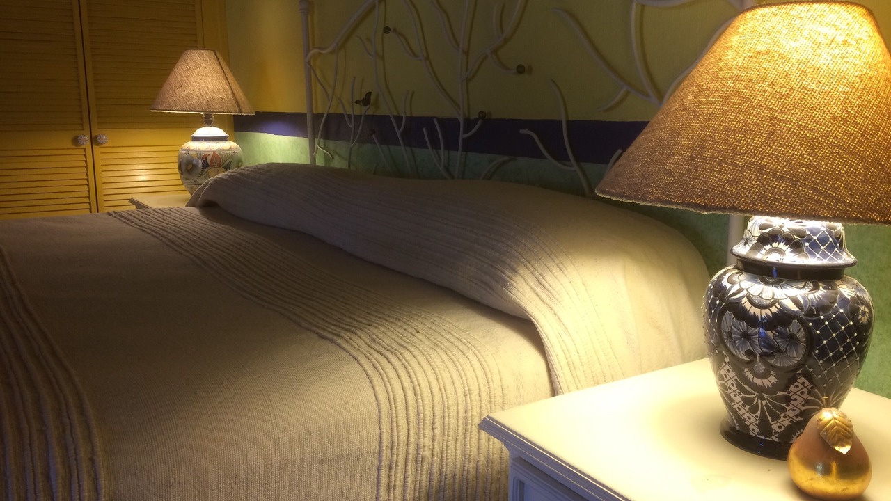 Photo of Bedroom in Ajijic