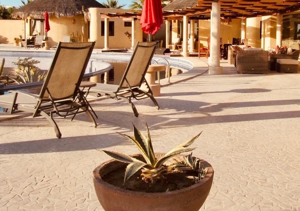 Photo of Outdoor in Todos Santos