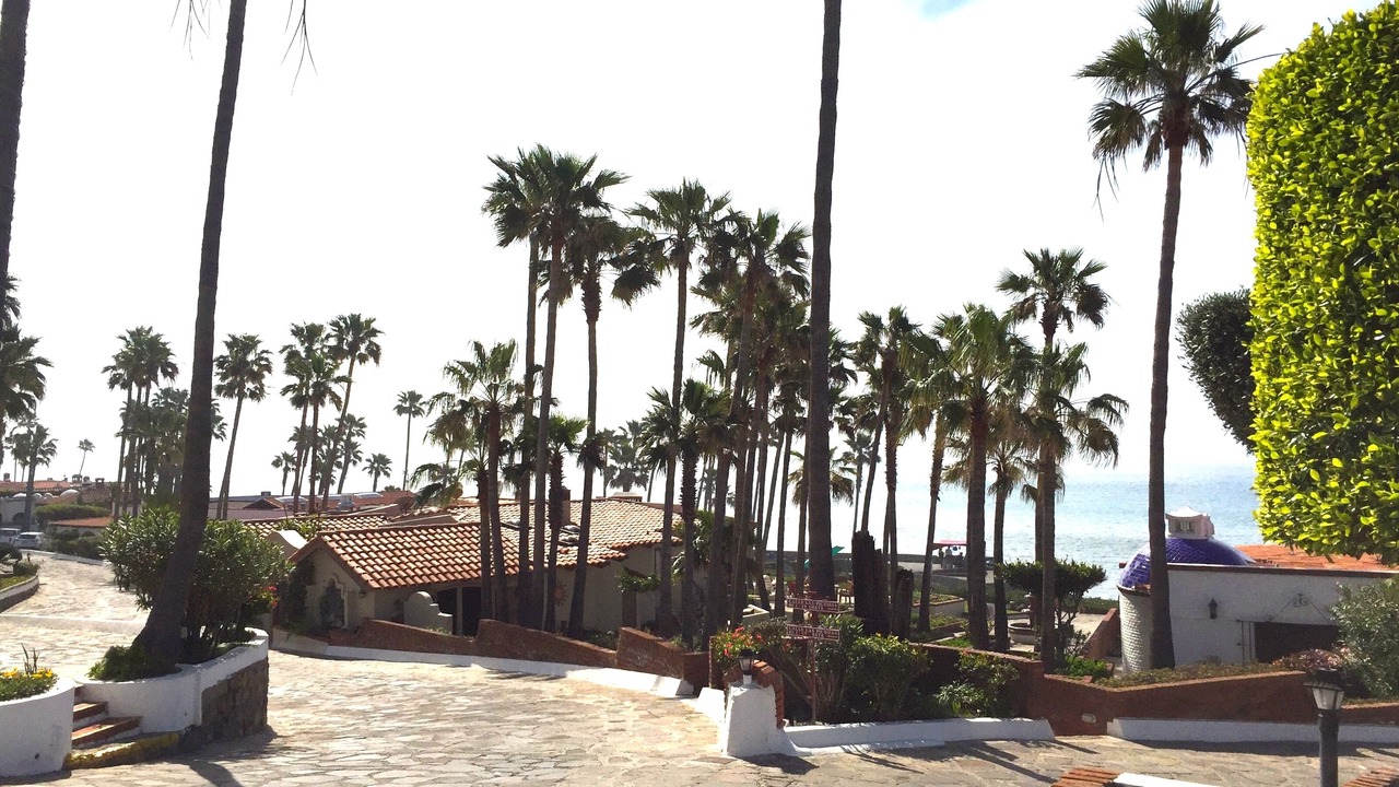 Photo of Outdoor in Las Gaviotas
