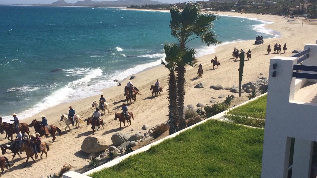 Photo of Others in Buenavista