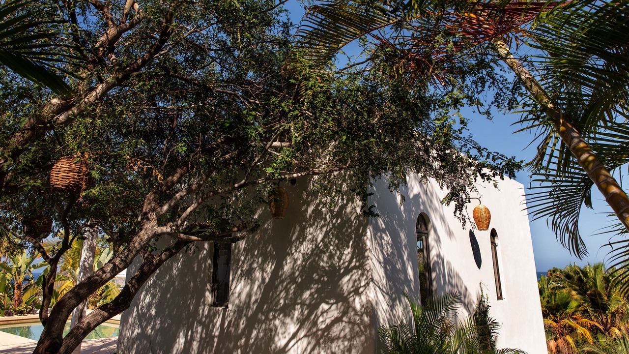 Photo of Outdoor in Todos Santos