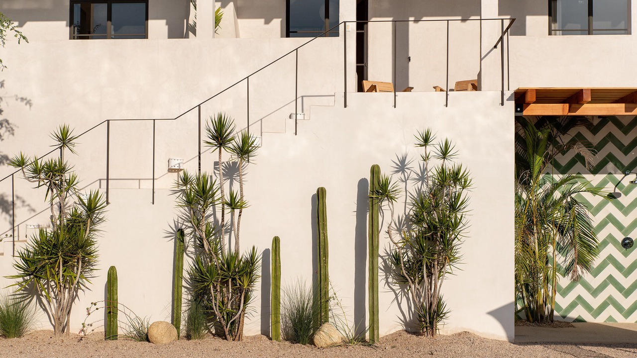 Photo of Outdoor in Todos Santos