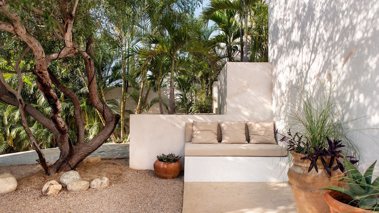 Photo of Outdoor in Todos Santos