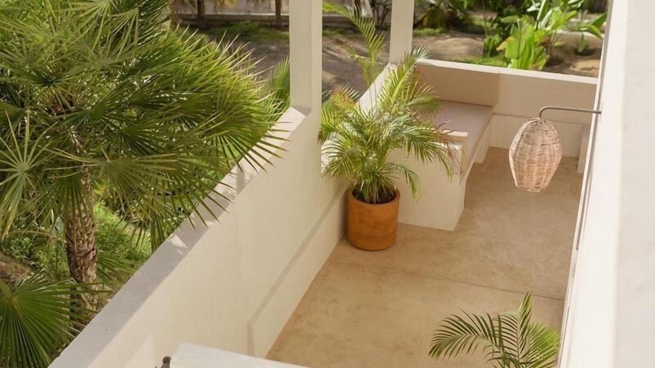 Photo of Outdoor in Todos Santos