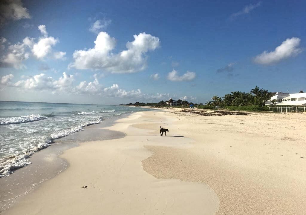 Photo of Others in Playa del Secreto