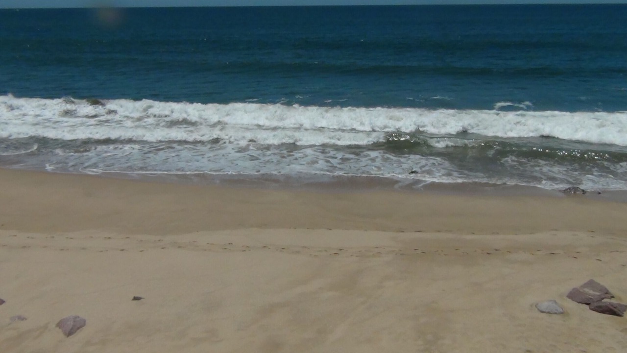 Photo of Others in Marina Mazatlan