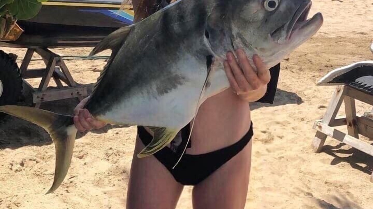 Photo of Others in Ixtapa