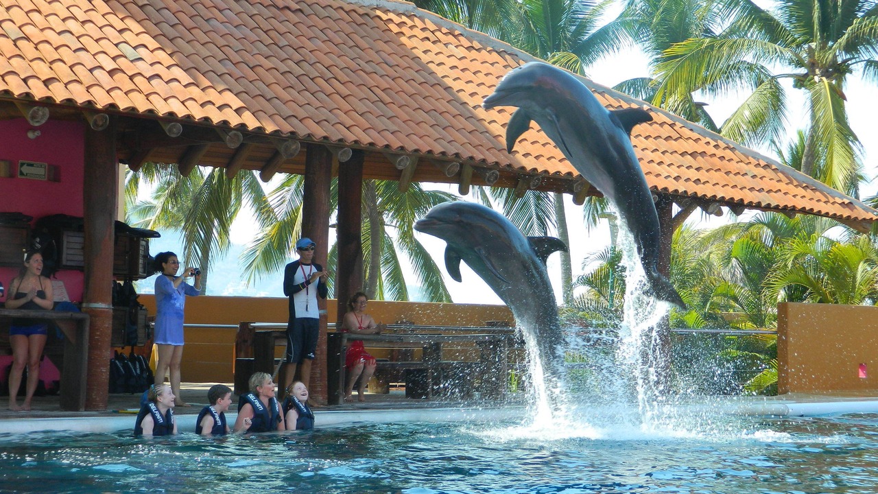 Photo of Others in Ixtapa