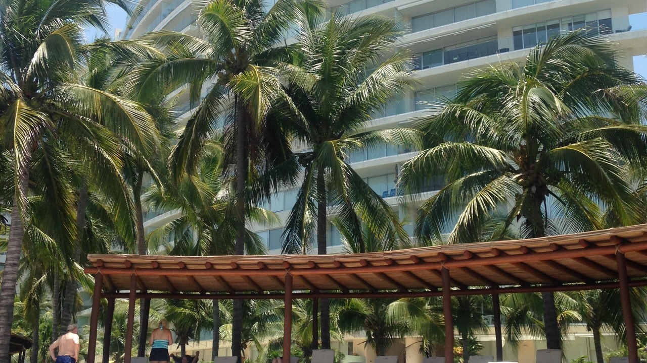 Photo of Others in Ixtapa