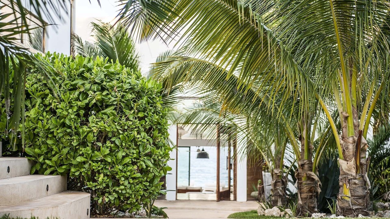 Photo of Outdoor in Isla Mujeres