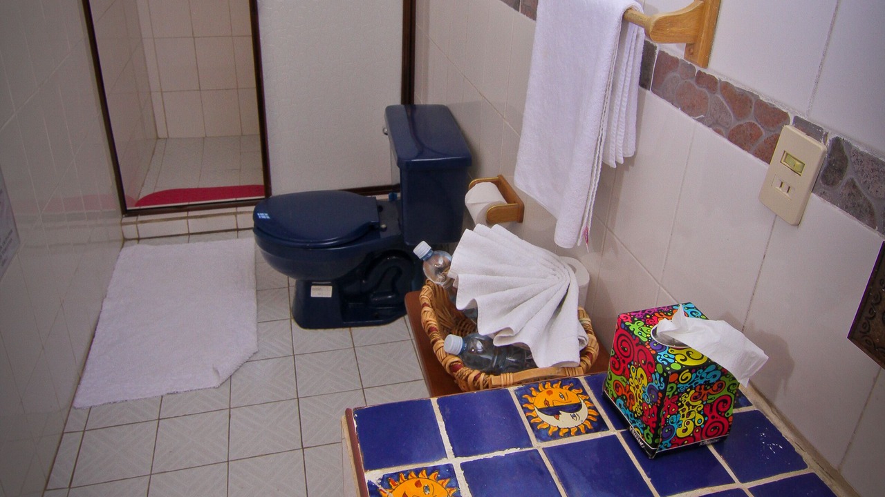 Photo of Bathroom in Acapulco