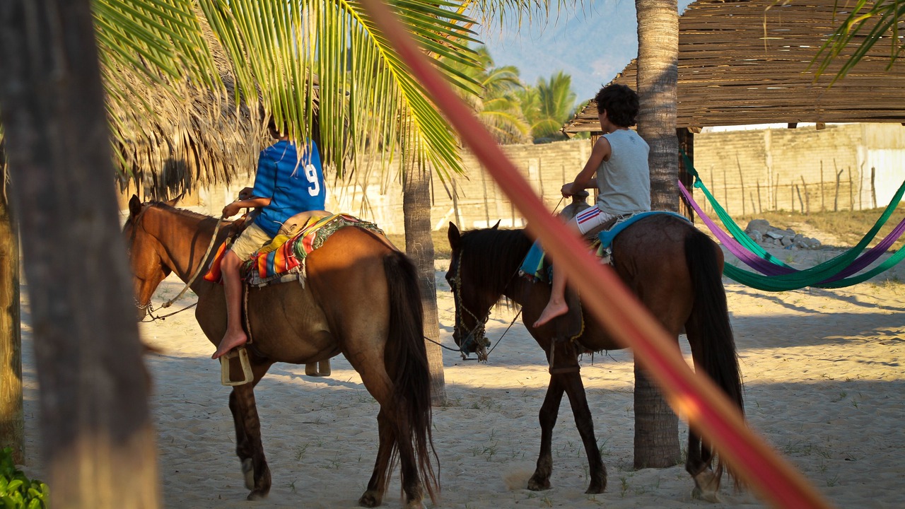 Photo of Others in Acapulco