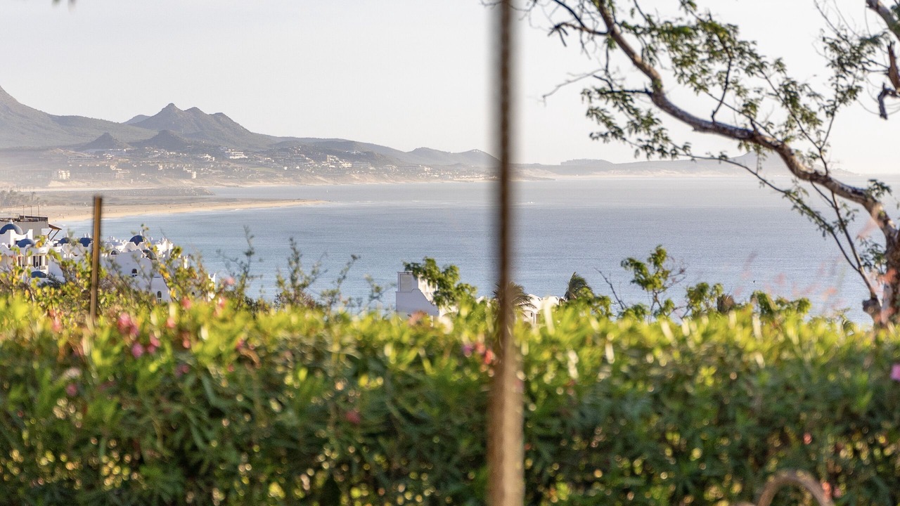 Photo of Outdoor in San Jose del Cabo