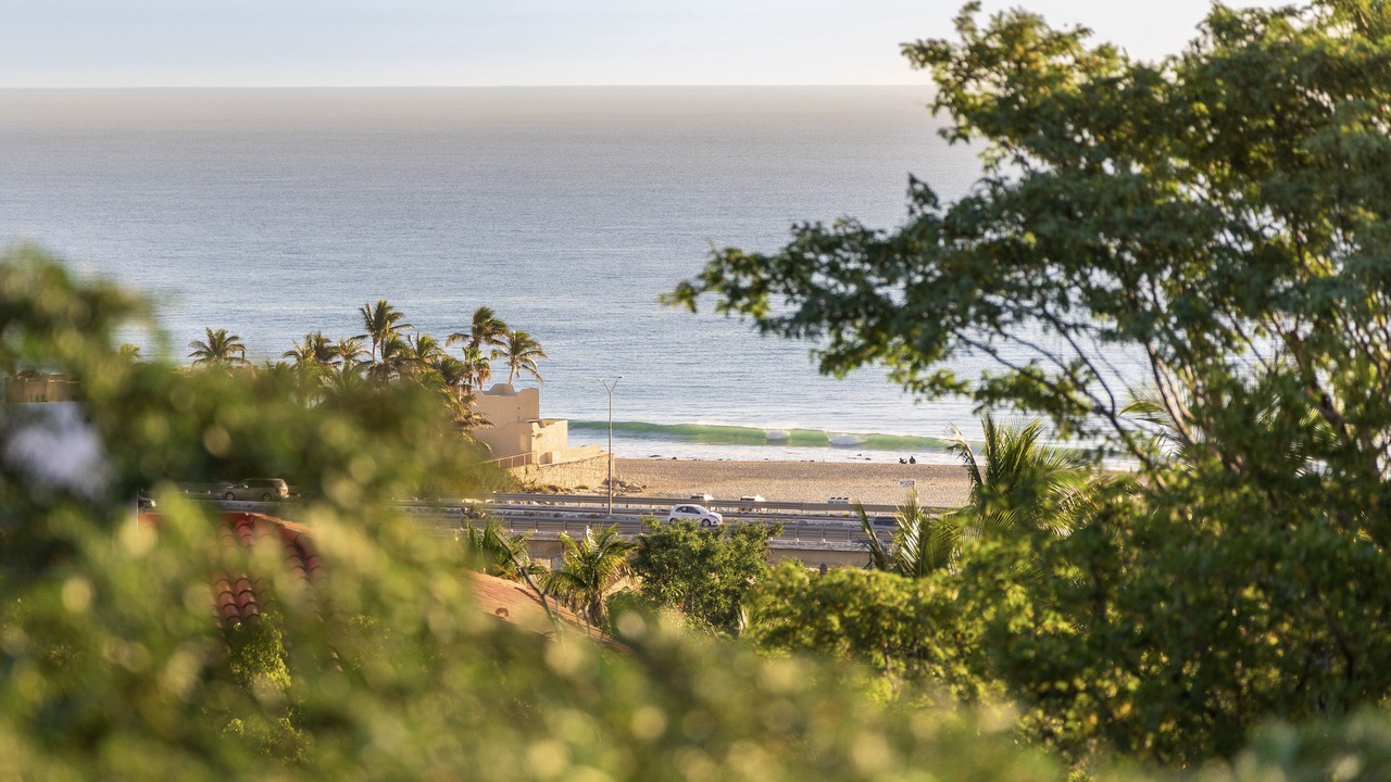 Photo of Others in San Jose del Cabo