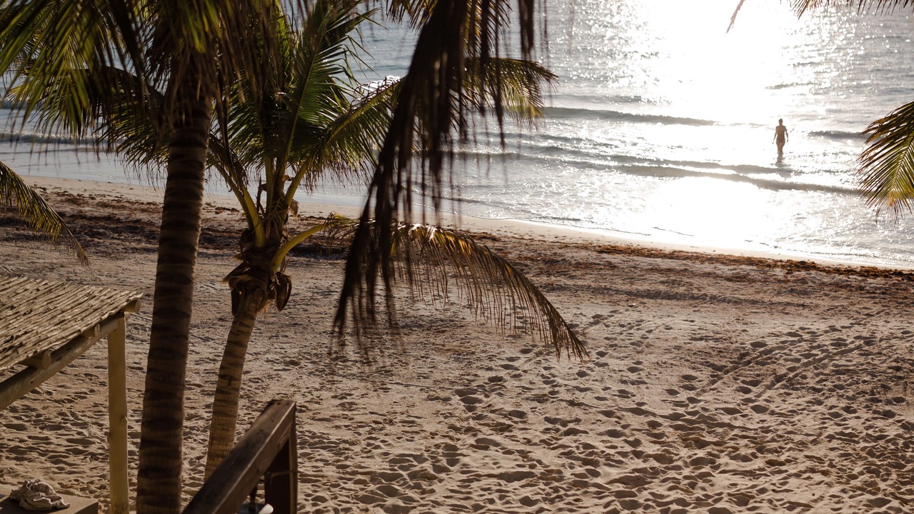 Photo of Others in Chacchoben