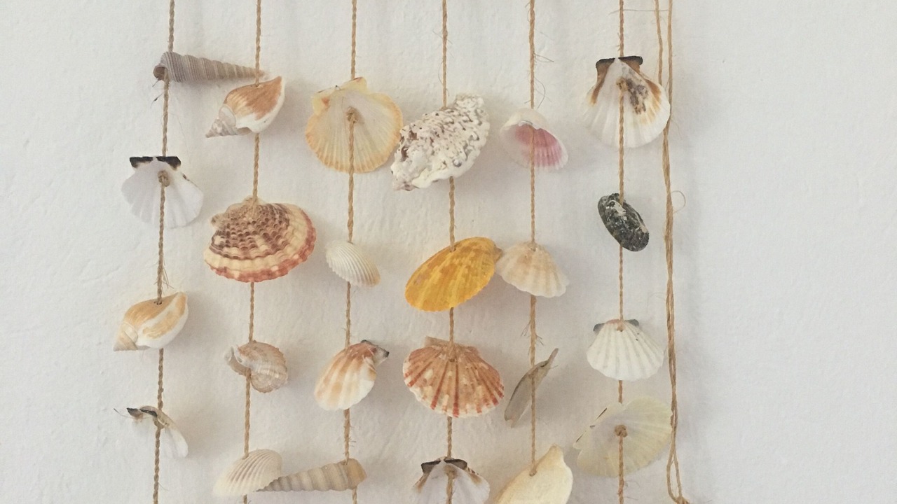 Photo of Others in Ixtapa - Zihuatanejo