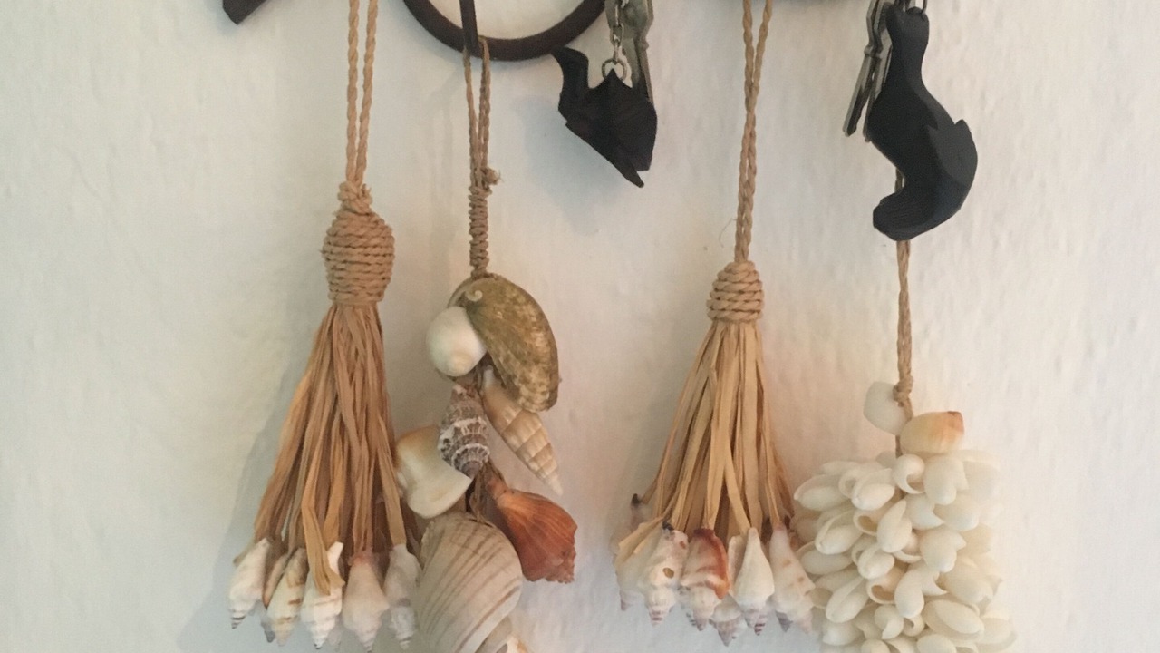 Photo of Others in Ixtapa - Zihuatanejo