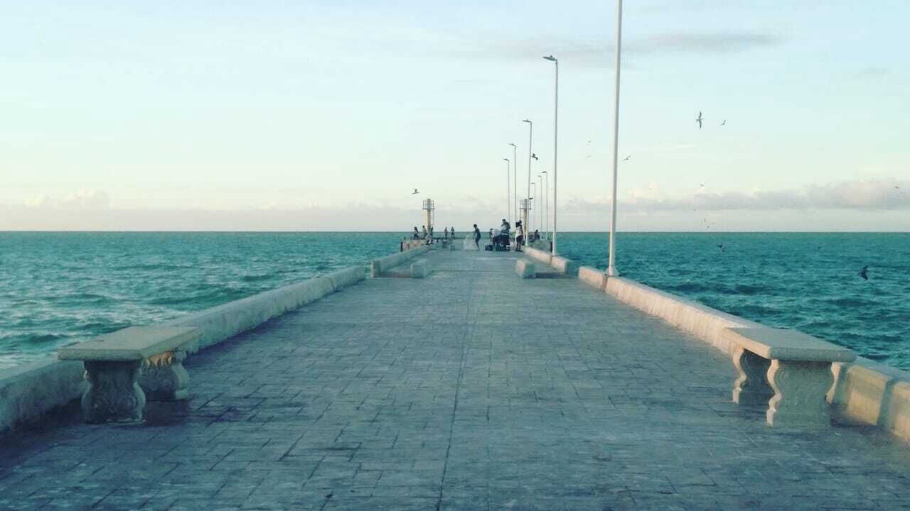 Photo of Others in Chuburna Puerto