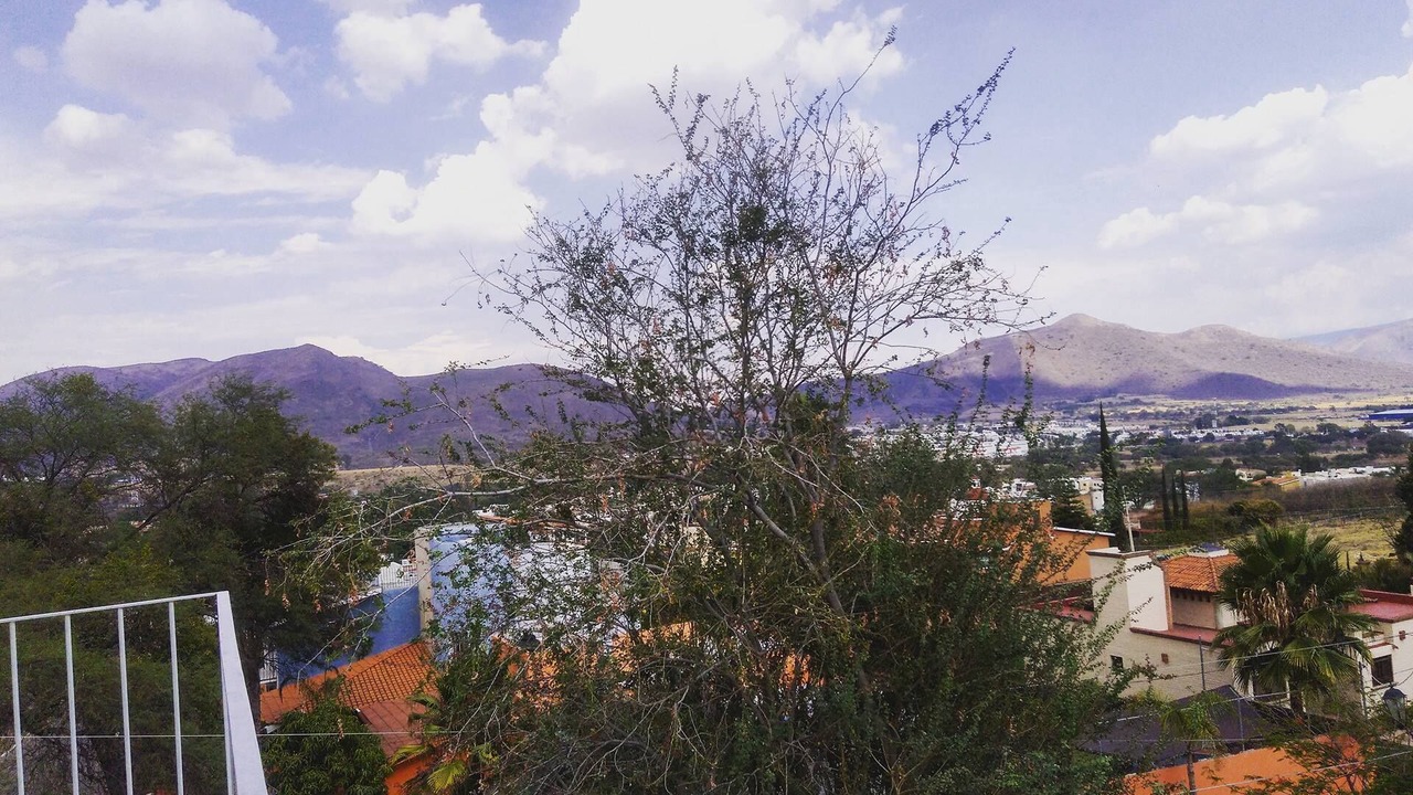 Photo of Others in Tlajomulco de Zuniga