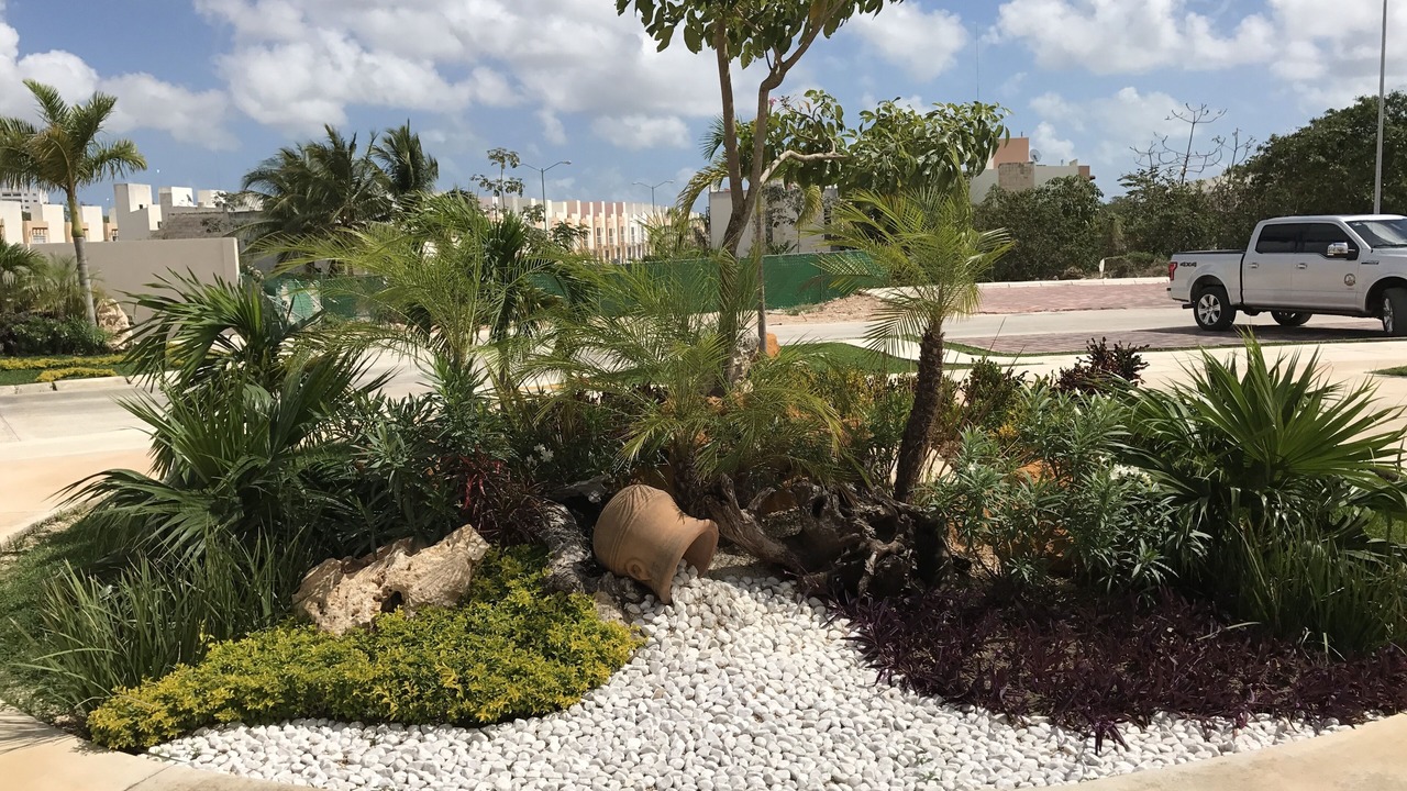 Photo of Outdoor in Benito Juarez