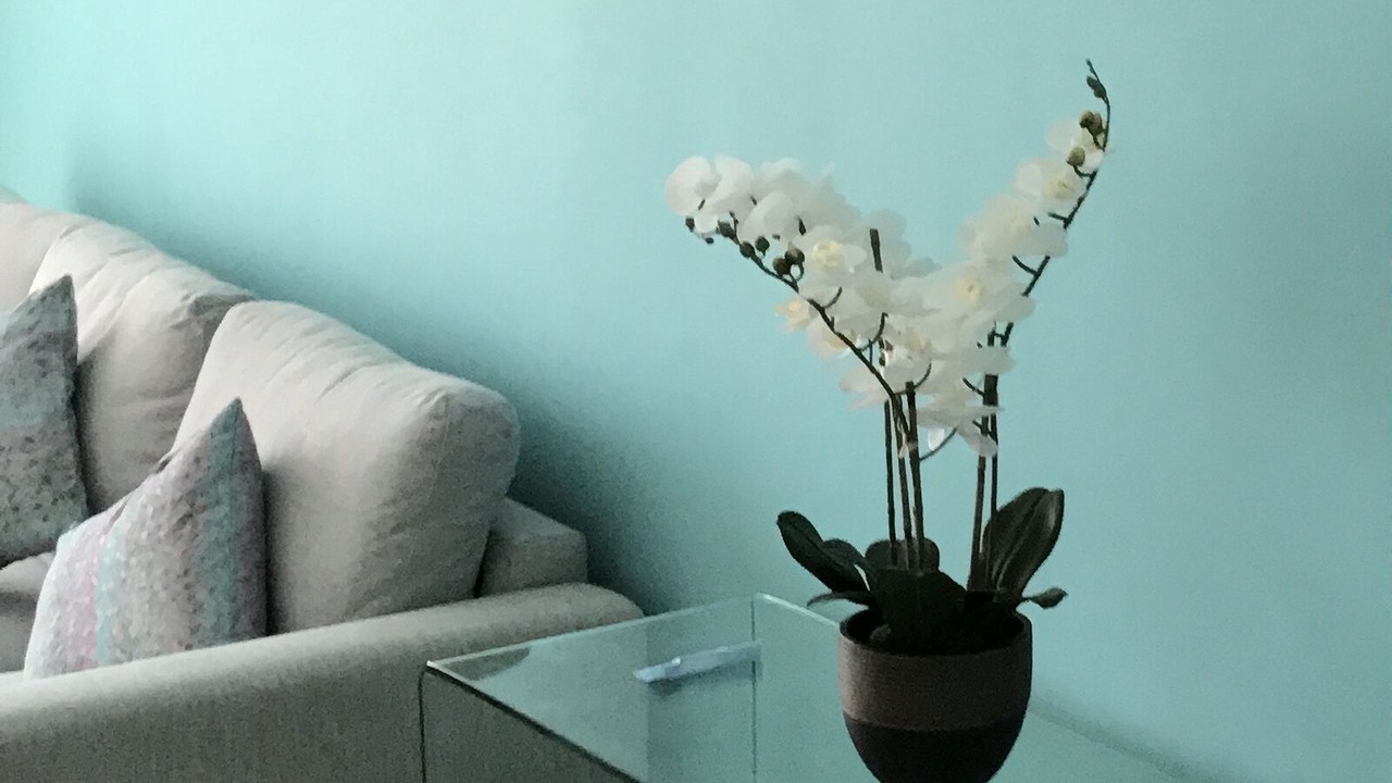 Photo of Livingroom in Benito Juarez