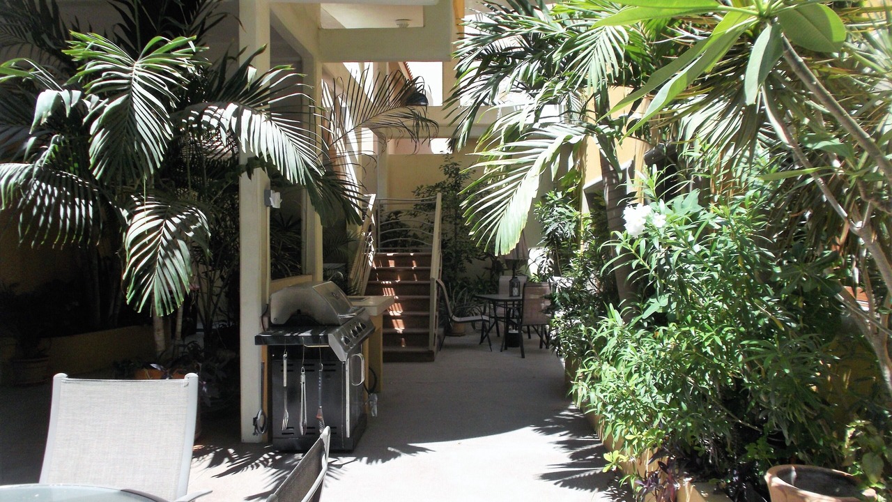Photo of Outdoor in Downtown San Jose del Cabo