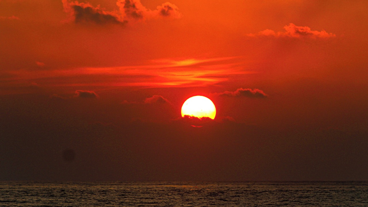 Photo of Others in Troncones