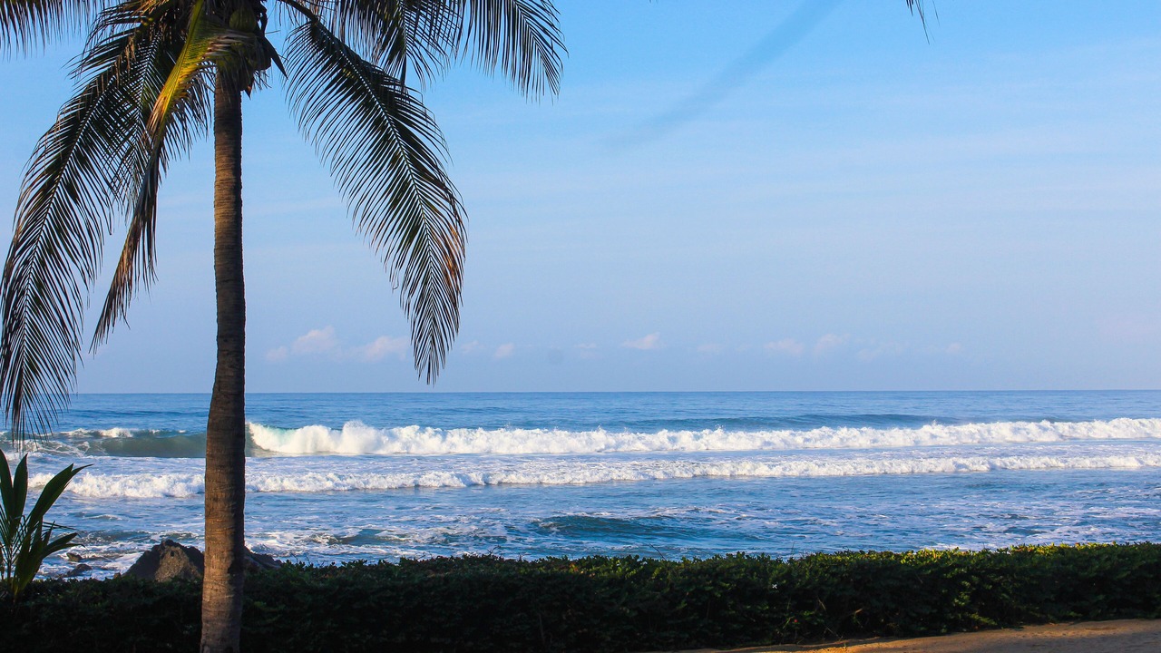 Photo of Others in Troncones
