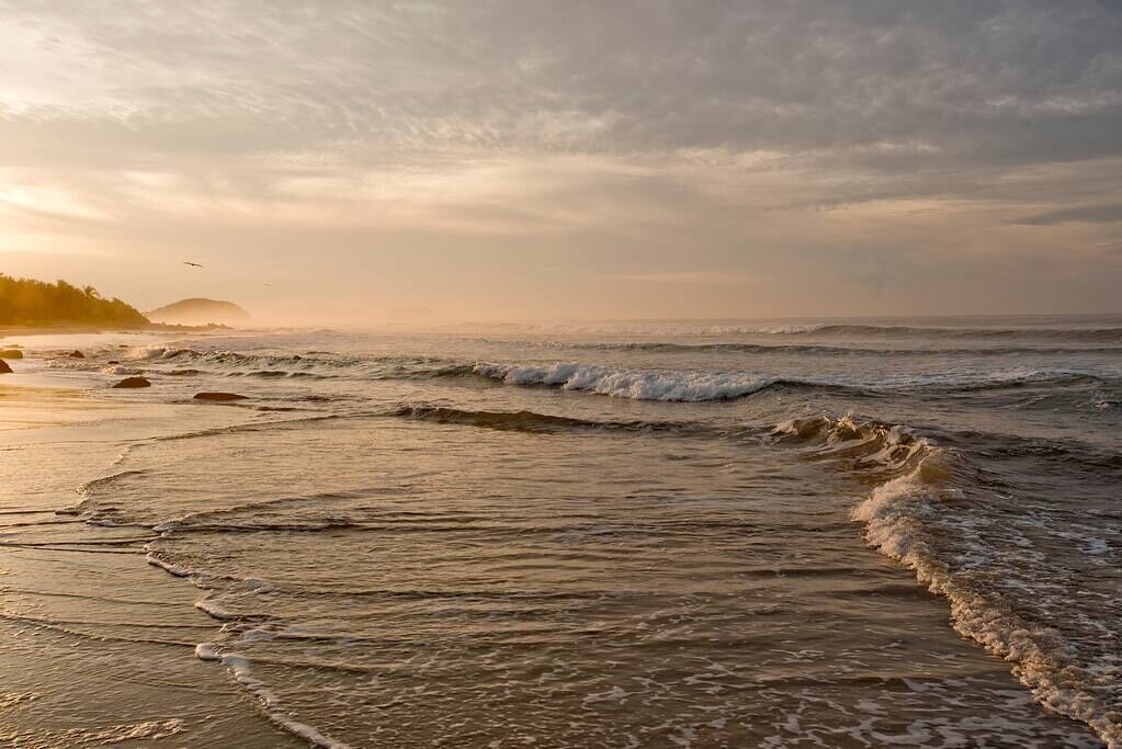 Photo of Others in Troncones