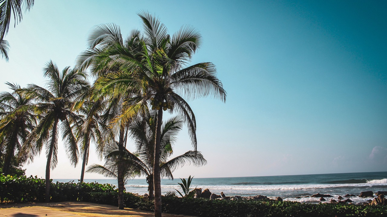 Photo of Others in Troncones