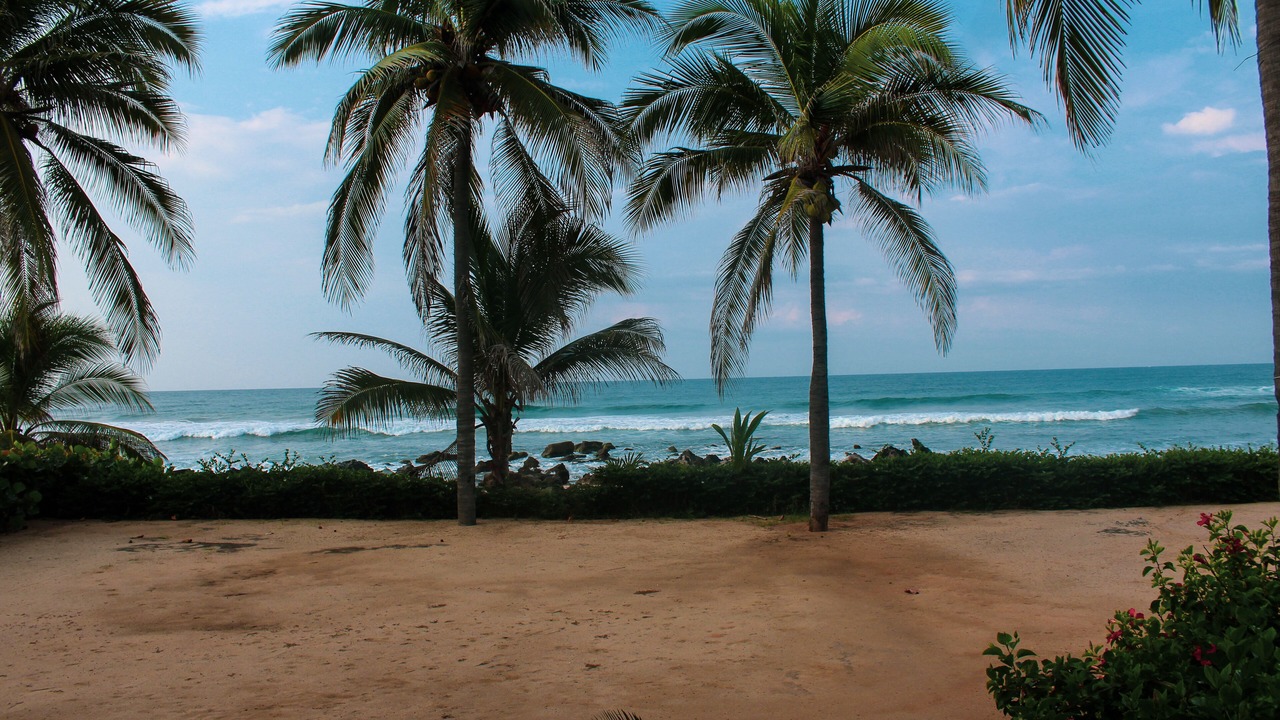 Photo of Others in Troncones