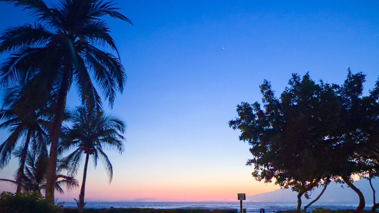 Photo of Outdoor in Troncones