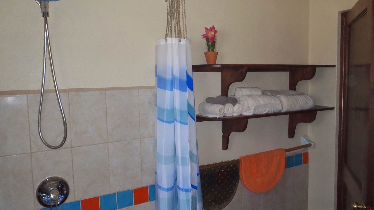 Photo of Bathroom in Los Barriles