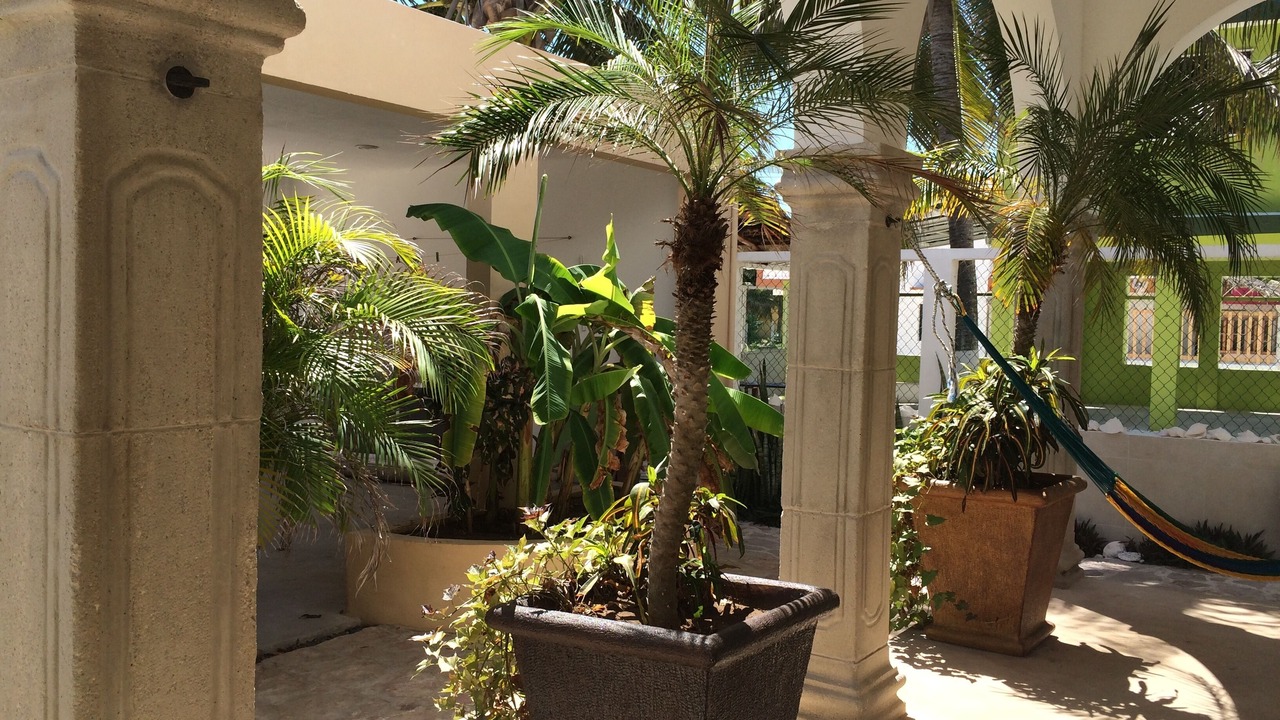 Photo of Outdoor in Chuburna Puerto