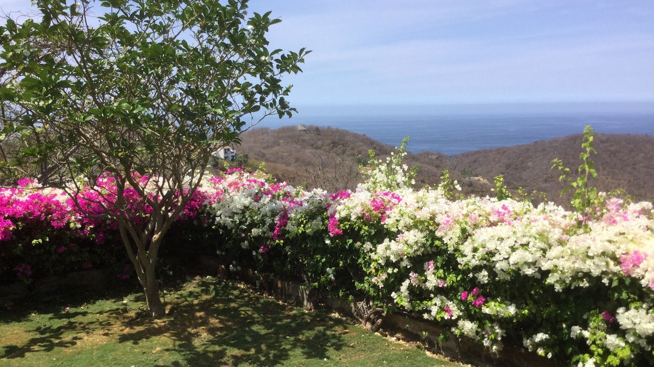Photo of Outdoor in Cerro del Vigia