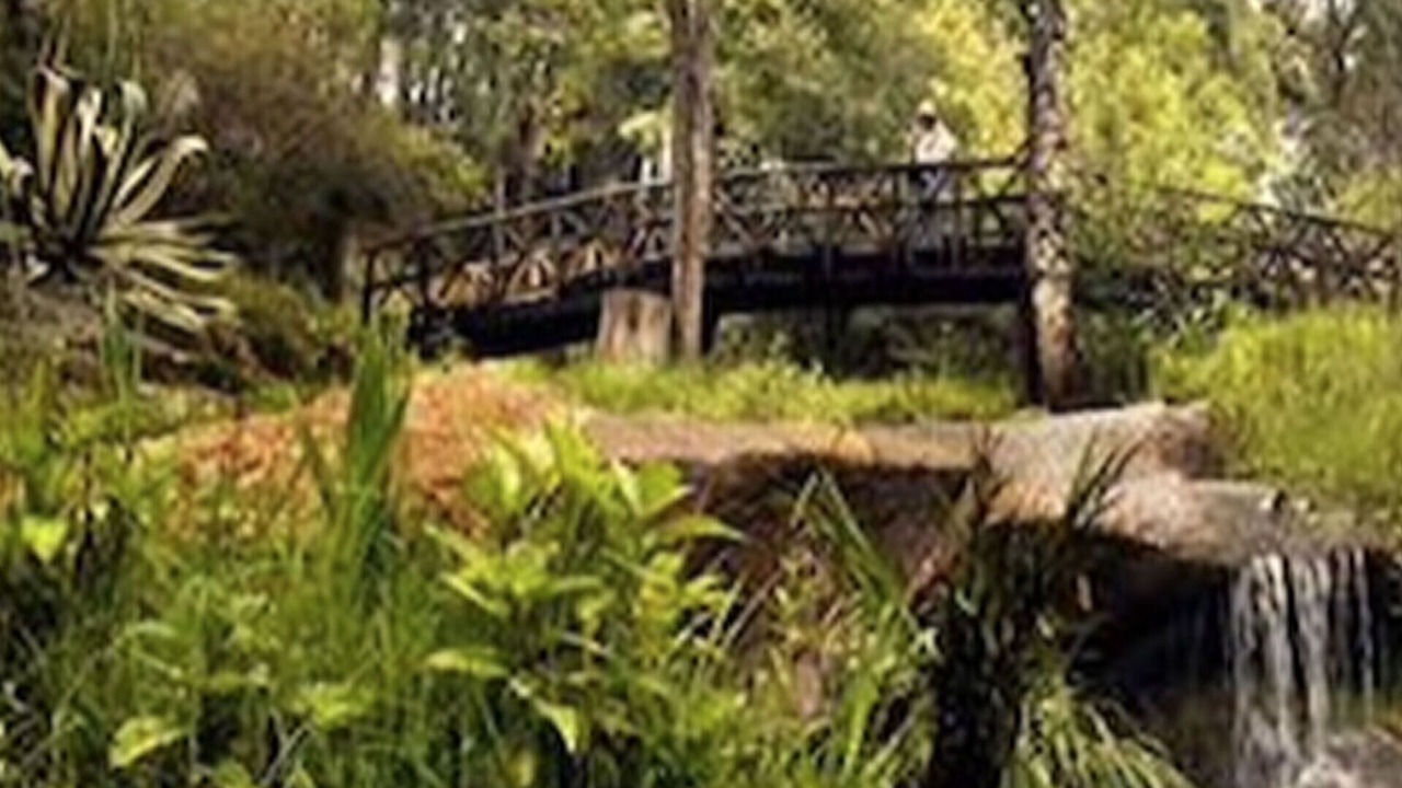 Photo of Outdoor in Mazamitla