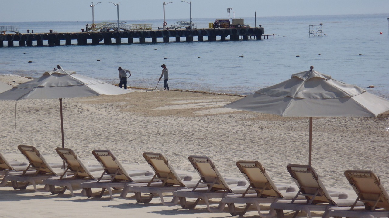 Photo of Others in Playacar Fase I