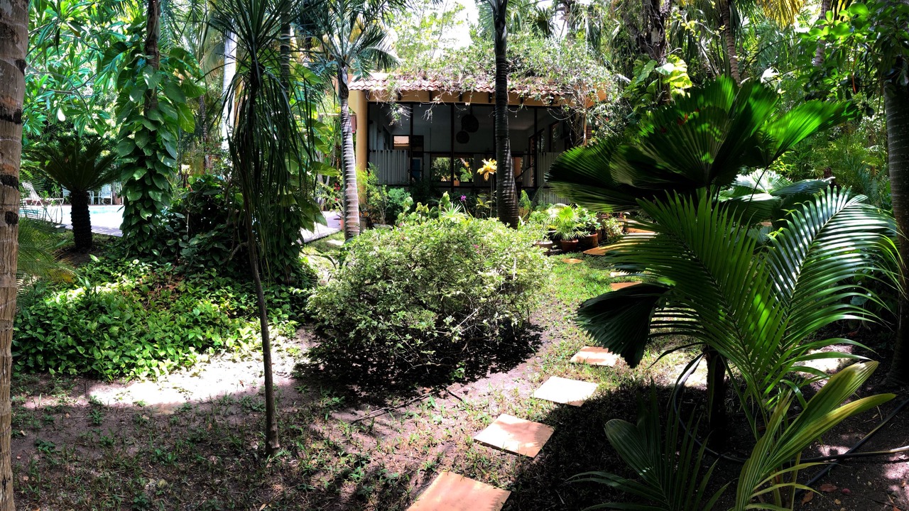 Photo of Outdoor in Alfredo V. Bonfil