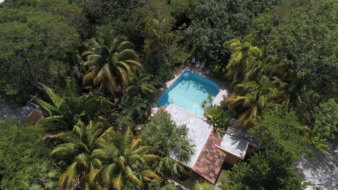 Photo of Outdoor in Alfredo V. Bonfil