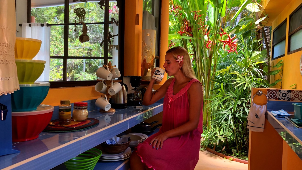 Photo of Kitchen in Alfredo V. Bonfil