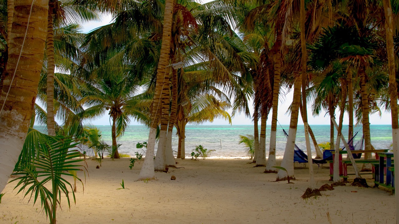 Photo of Others in Punta Allen