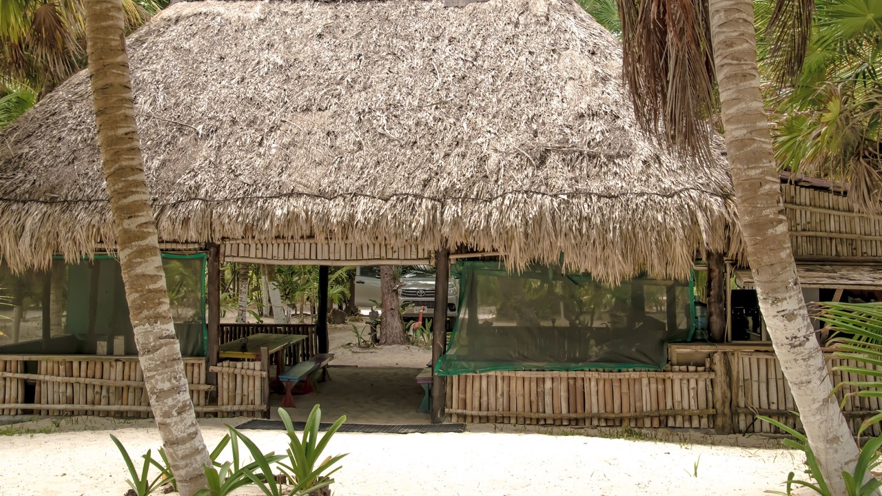 Photo of Outdoor in Punta Allen