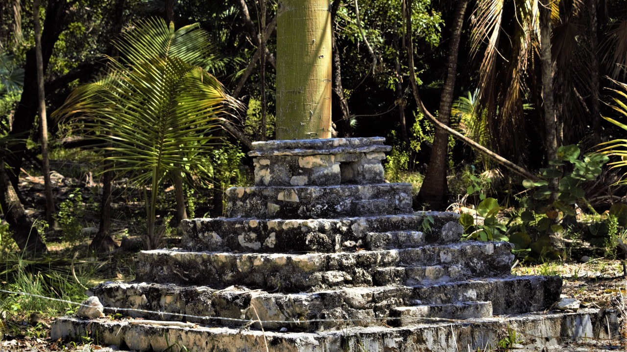 Photo of Outdoor in Punta Allen