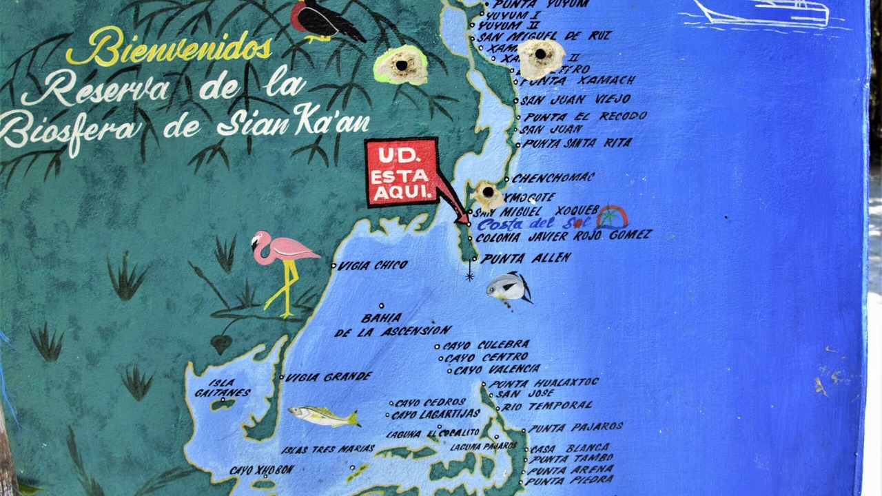 Photo of Others in Punta Allen