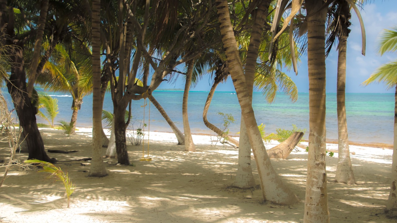 Photo of Others in Punta Allen