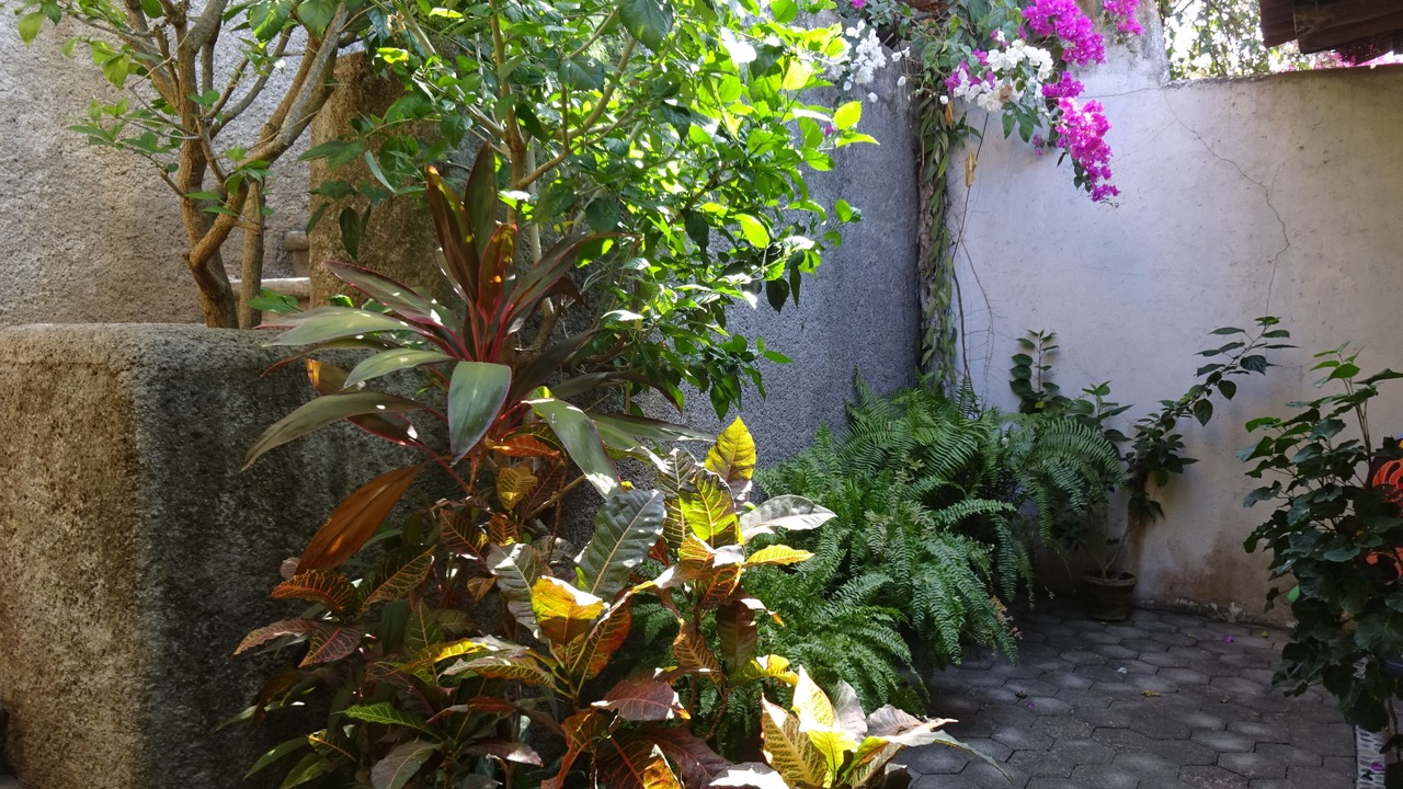 Photo of Outdoor in Ixtapa - Zihuatanejo