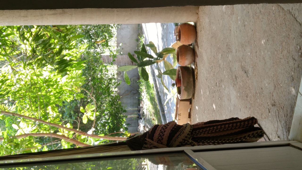 Photo of Outdoor in Huautlco