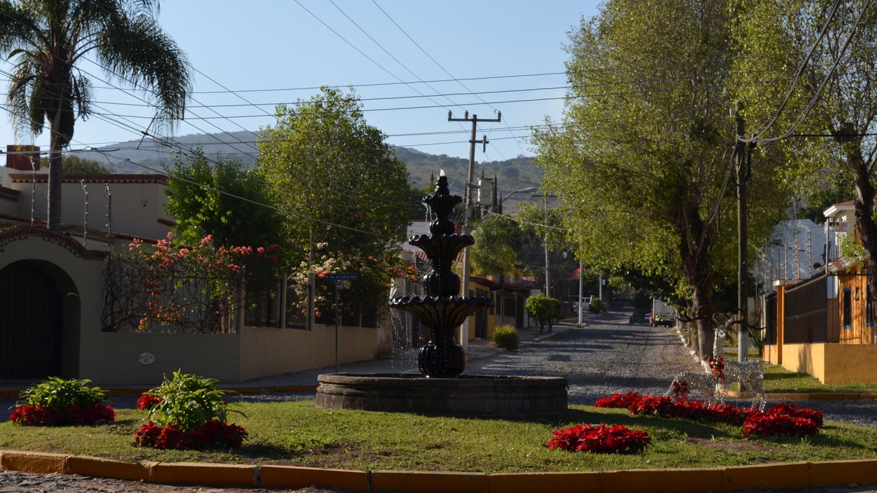 Photo of Others in Tlajomulco de Zuniga